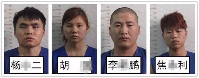天津“蝶蓓蕾”头目被抓 这究竟是什么组织？